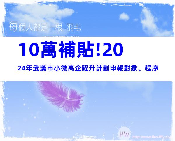 10萬補貼!2024年武漢市小微高企躍升計劃申報對象、程序