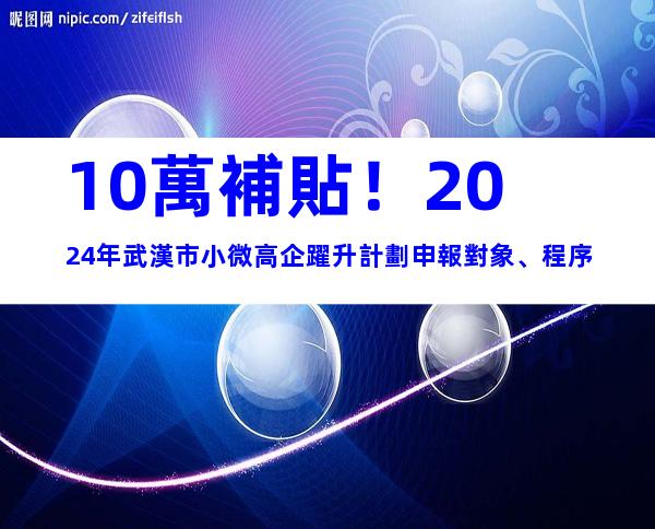 10萬補貼！2024年武漢市小微高企躍升計劃申報對象、程序