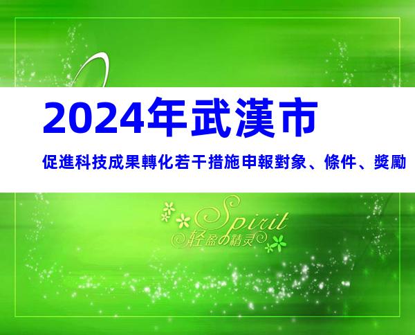 2024年武漢市促進科技成果轉化若干措施申報對象、條件、獎勵