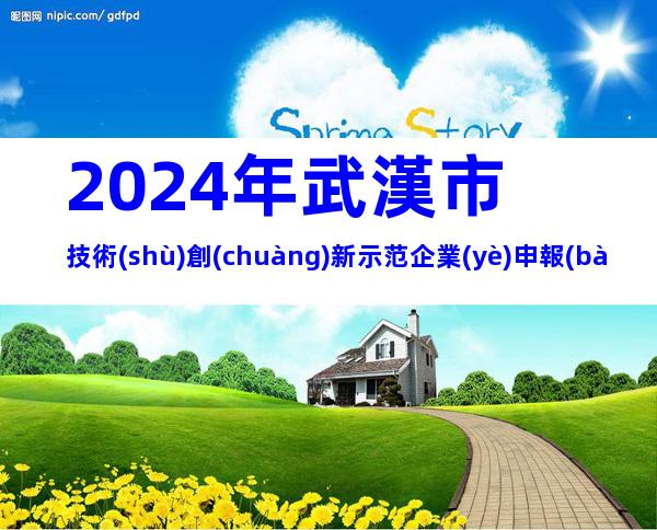 2024年武漢市技術(shù)創(chuàng)新示范企業(yè)申報(bào)條件、步驟及相關(guān)內(nèi)容