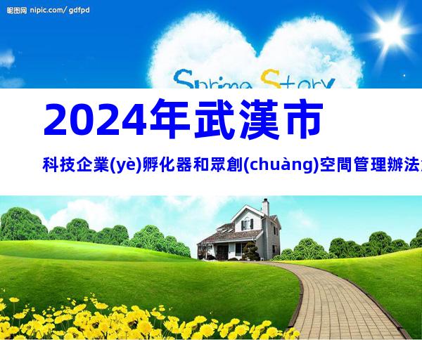 2024年武漢市科技企業(yè)孵化器和眾創(chuàng)空間管理辦法解析，申報(bào)條件、流程