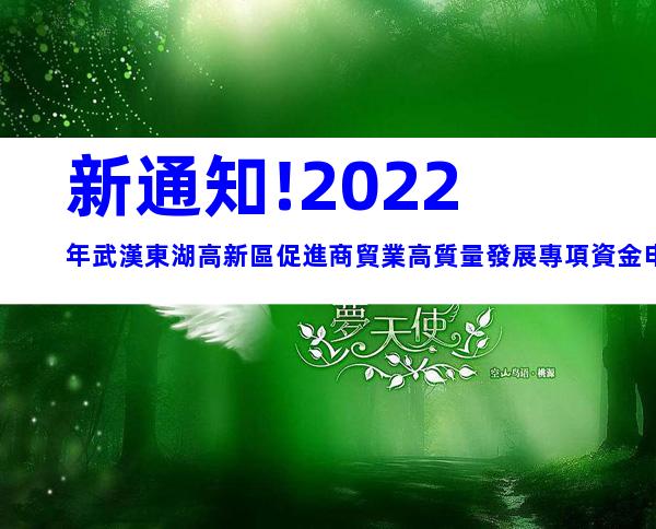 新通知!2022年武漢東湖高新區促進商貿業高質量發展專項資金申報時間、條件