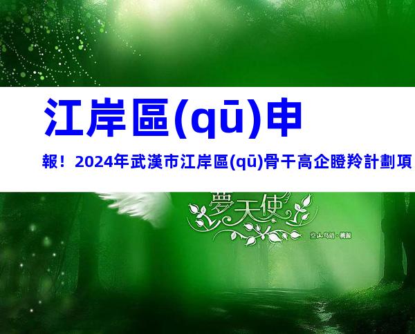 江岸區(qū)申報！2024年武漢市江岸區(qū)骨干高企瞪羚計劃項目申報對象、時間及要求