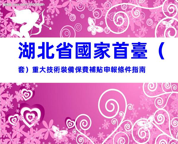 湖北省國家首臺（套）重大技術裝備保費補貼申報條件指南