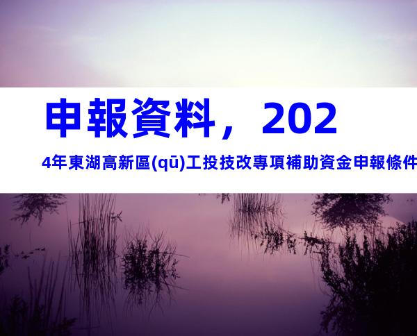 申報資料，2024年東湖高新區(qū)工投技改專項補助資金申報條件、補助標準