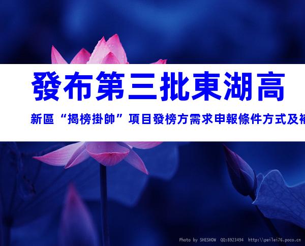 發布第三批東湖高新區“揭榜掛帥”項目發榜方需求申報條件方式及補貼要求