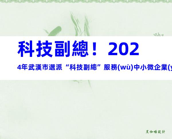 科技副總！2024年武漢市選派“科技副總”服務(wù)中小微企業(yè)申報條件、選派程序